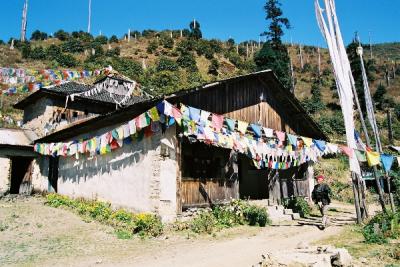 u37/jbagne/medium/24248874.img1036.jpg