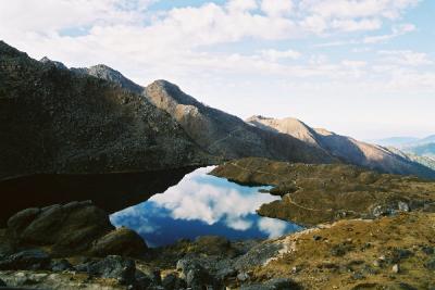 u37/jbagne/medium/24248888.img2014.jpg