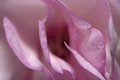 CRW_7328w.jpg