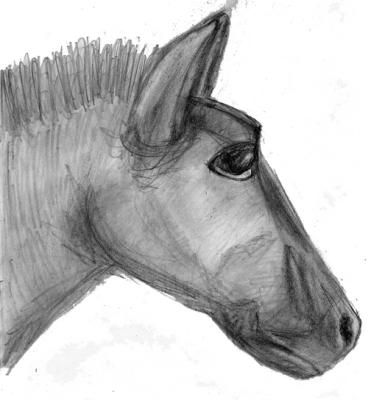 Wooden-horse