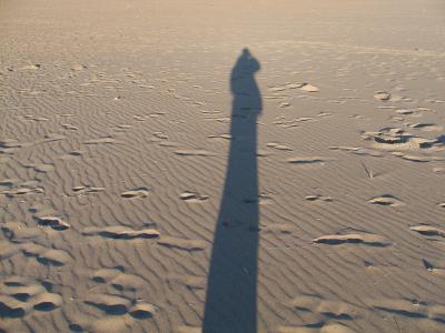 shadow on the beach