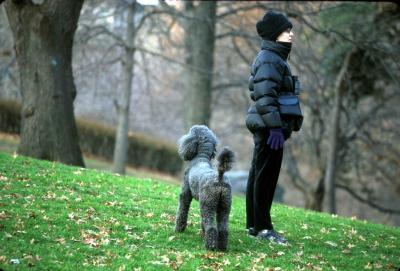 Birder and her distracted dog at central park