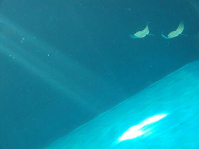 PA283368.JPG