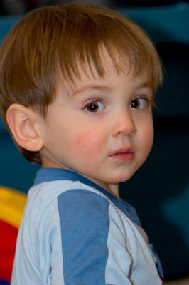 CRW_2660.jpg