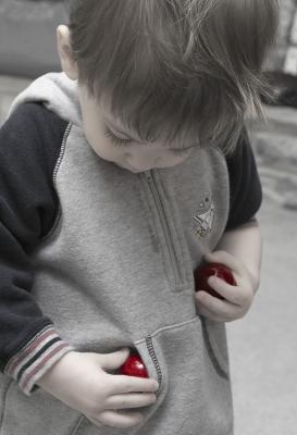 CRW_3633.jpg