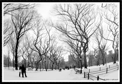 NYC-Central Park