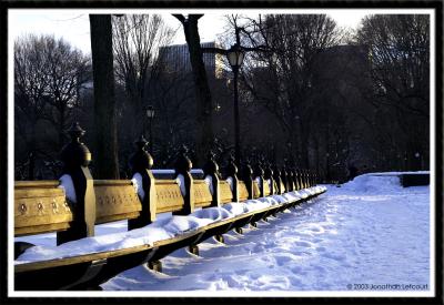 Beautiful Park Benches