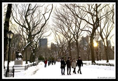 Enjoying Winter