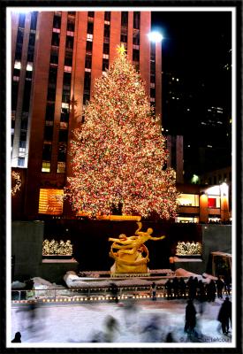 The Famous Tree at Rockefeller Center