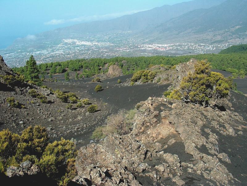 Parque Natural de Cumbre Vieja.  (6)