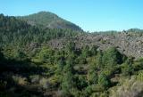 Parque Natural de Cumbre Vieja.  (1)