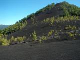 Parque Natural de Cumbre Vieja.  (3)