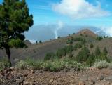 Parque Natural de Cumbre Vieja.  (5)