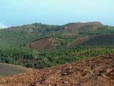 Parque Natural de Cumbre Vieja.  (8)