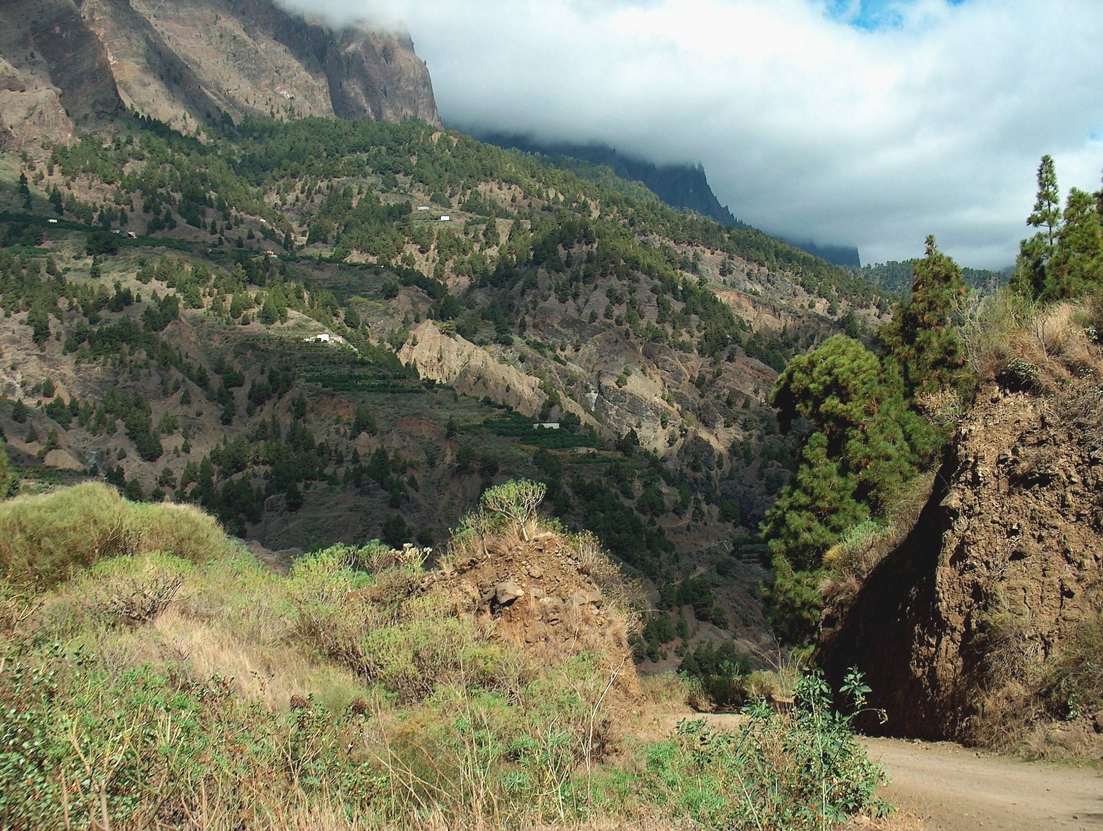 La Palma.