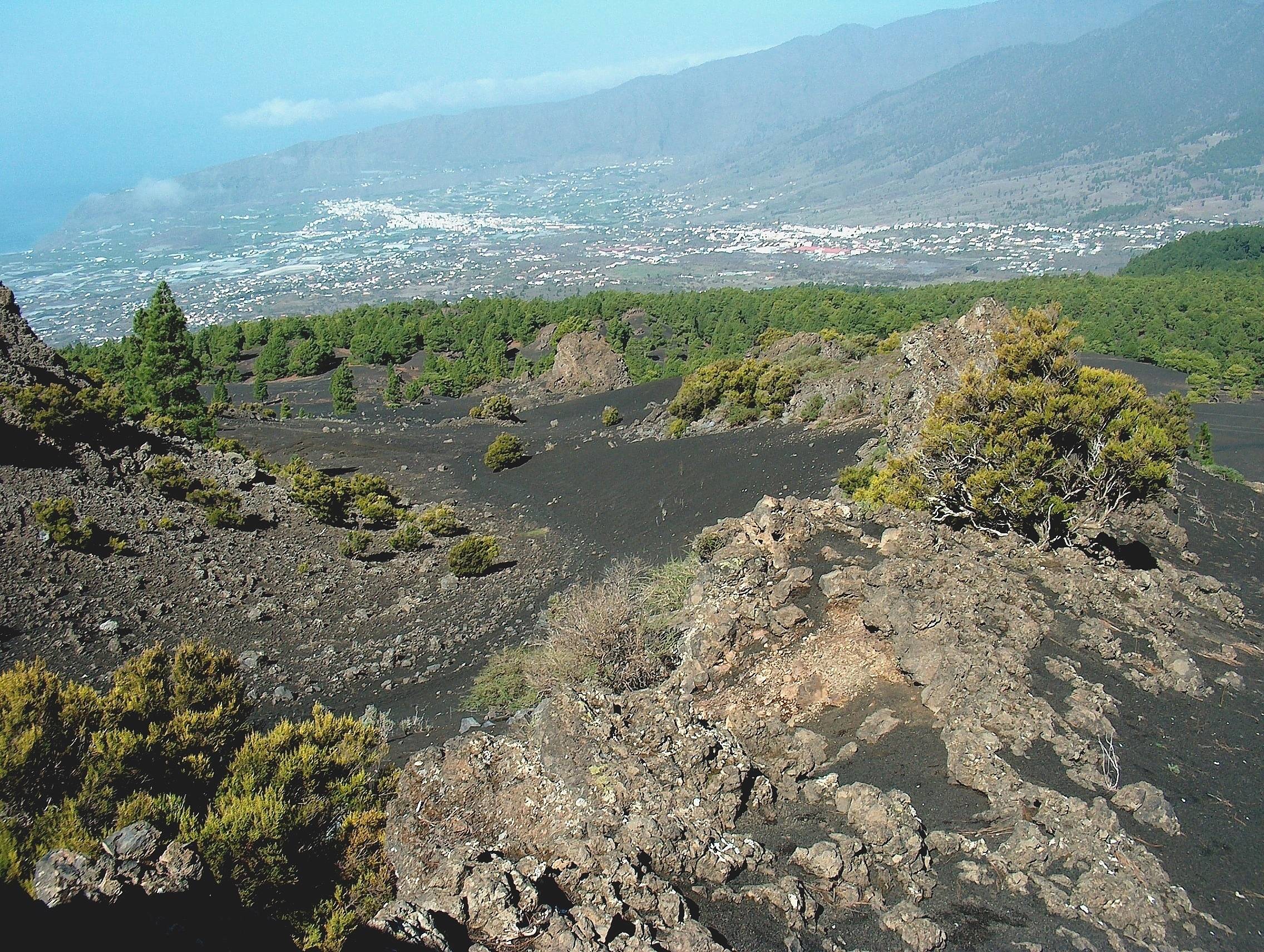 Parque Natural de Cumbre Vieja.  (6)