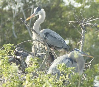 DSC_6426.jpg