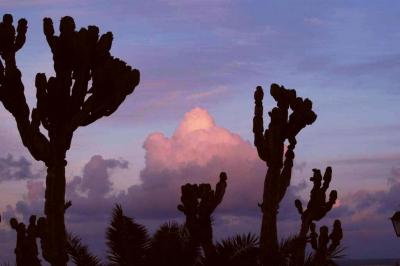 sunset Lanzarote.jpg