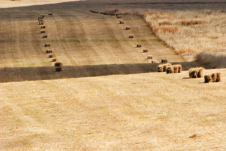 Square bales