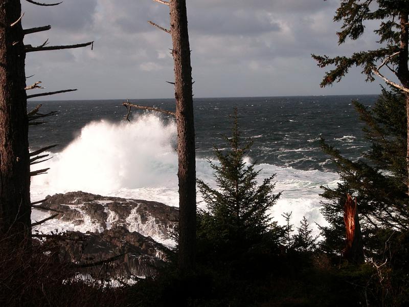 Nov 25 breakers