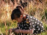 Amy looking for grass