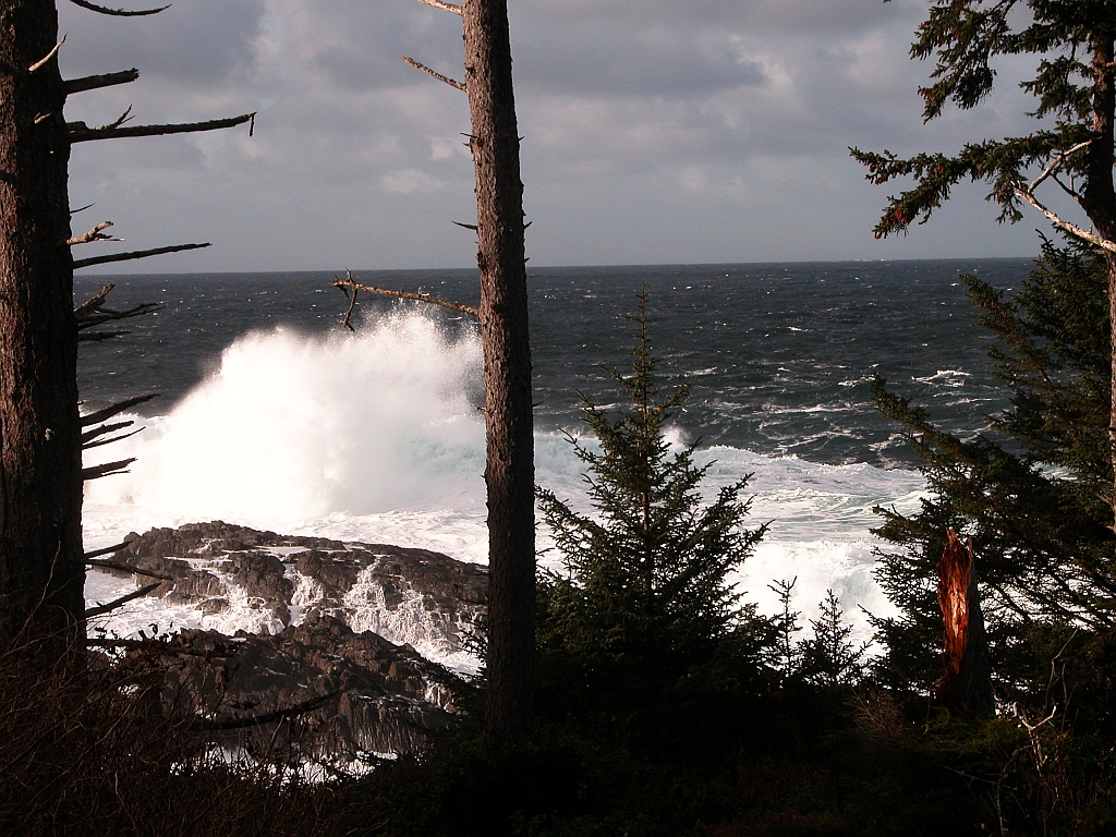 Nov 25 breakers