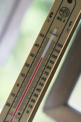 Feb 23 - another hot day!