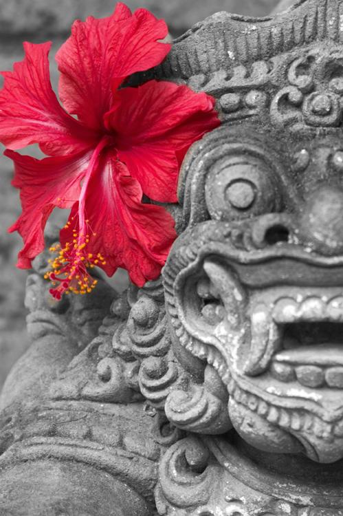 040721_bali0591en_comp.tif