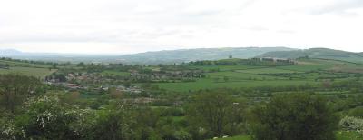 2277-8.jpg