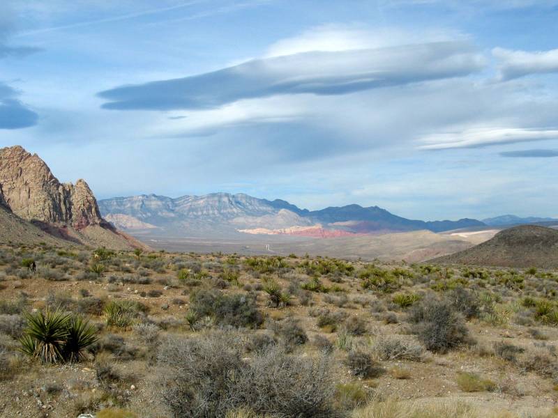 Desert Landscape