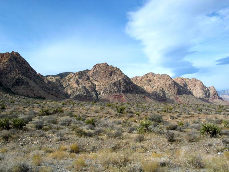Desert Outcrops