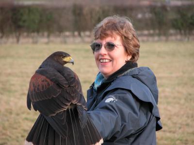 Hawk09.JPG