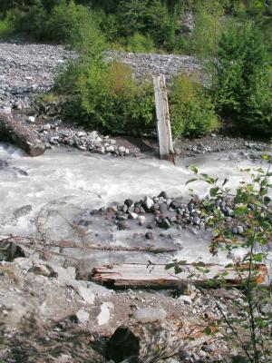 Kautz Creek Trail, Mt. Rainier N.P.