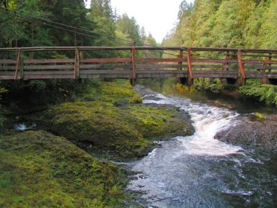 Footbridge across Rainbow Falls (not the Rainier ones)