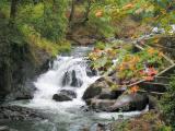 Tumwater Falls Park