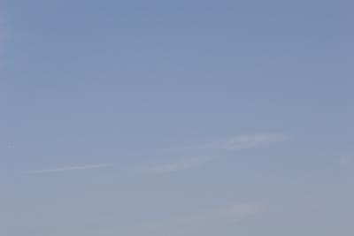 IMG_2310w.jpg