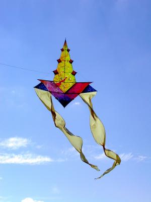 Kite day at Rotorua Feb 2003