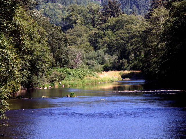 040801 Meandring Stream