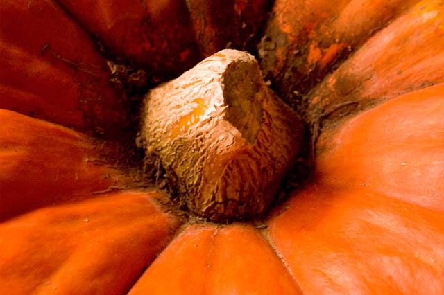 0401008 Pumpkin