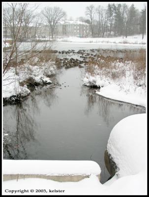 u37/kelster/medium/23930410.WinterSnowGeeseNapping.jpg