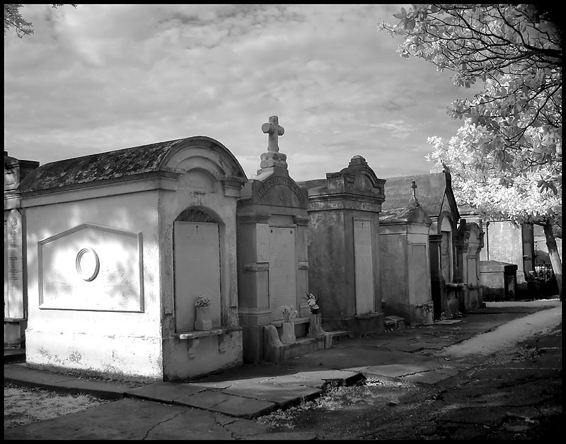 New Orleans Cemetery