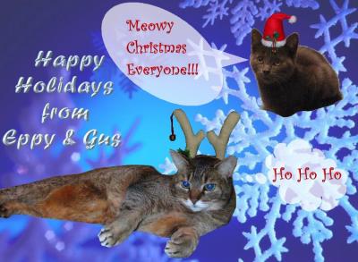 Happy Holidays from Eppy & Gus!!!!