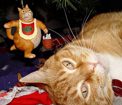 Barnaby and his ornament