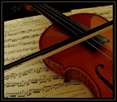 fiddle8705.jpg