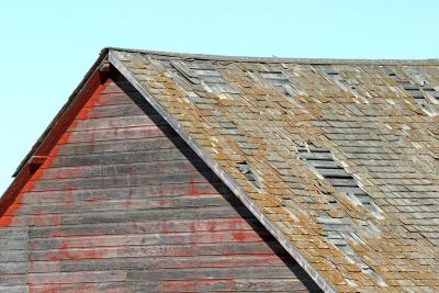 u37/ksproule/medium/34953200.IMG_9920.jpg