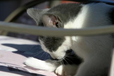 u37/ksproule/medium/34953203.IMG_9930.jpg