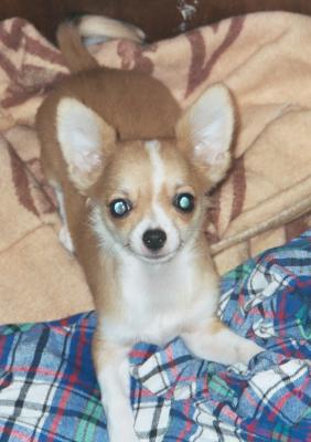 I'm awake Mom!