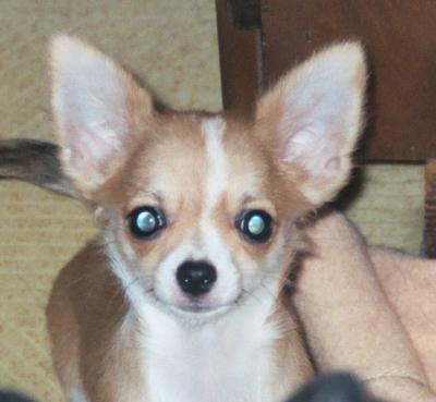 Hi!!