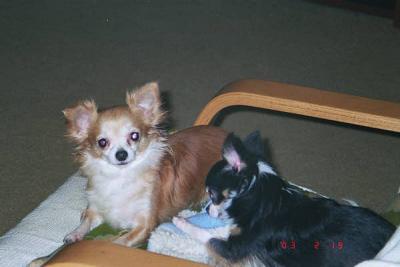 Mother and Son