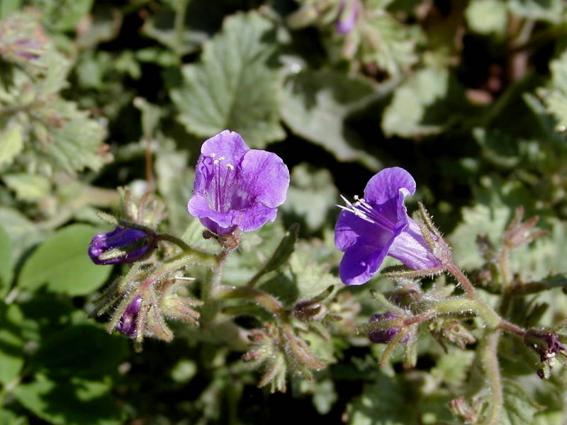 P2260026.JPG